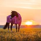 Fliegendecke EJSummertime Full Neck Epplejeck Rosa