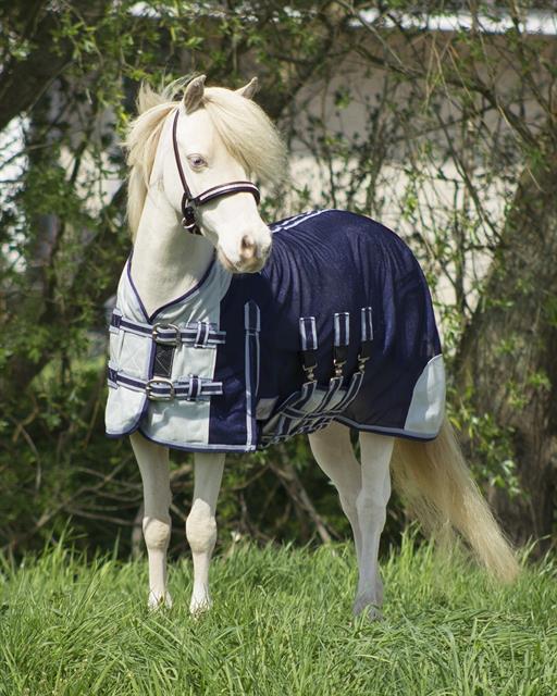 Fliegendecke Falabella QHP Blau