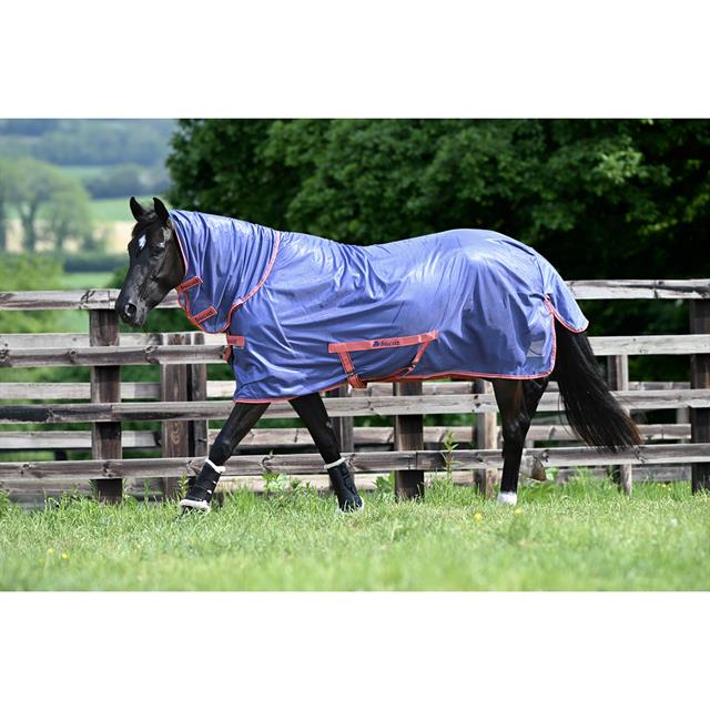 Fliegendecke Freedom SS25 Bucas Blau-Pink