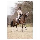 Fliegenhaube 3C ANKY Beige