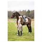 Fliegenhaube 3C ANKY Beige