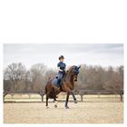 Fliegenhaube 3C ANKY Dunkelblau