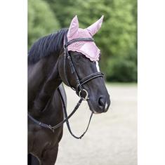 Fliegenhaube Covalliero