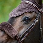 Fliegenhaube Kentucky Braun