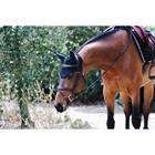 Fliegenhaube Kentucky Wellington Dunkelblau