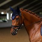Fliegenhaube Modern Lagoon Blush Equestrian Stockholm Dunkelblau