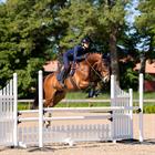 Fliegenhaube Modern Lagoon Blush Equestrian Stockholm Dunkelblau