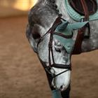 Fliegenhaube Modern Mint Green Equestrian Stockholm Hellgrün