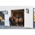 Fliegenhaube Platinum Pearls Eskadron Hellbraun