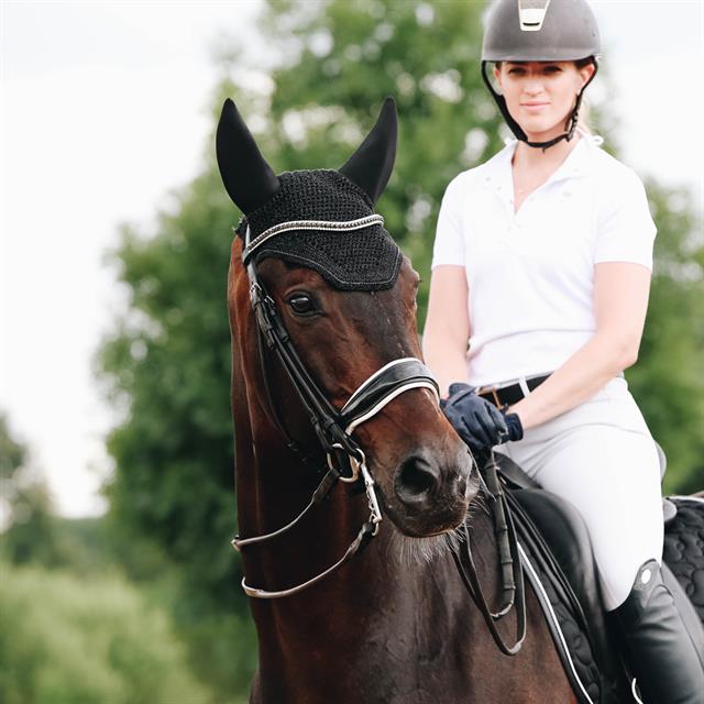 Fliegenhaube Wellington Sparkling Kentucky Schwarz