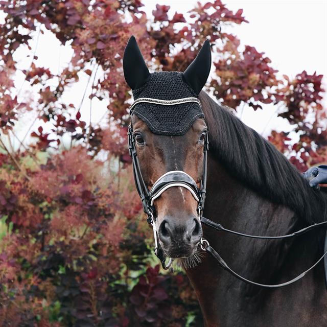 Fliegenhaube Wellington Sparkling Kentucky Schwarz