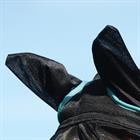 Fliegenmaske ComFiTec With Ears WeatherBeeta Schwarz-Türkis