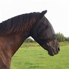 Fliegenmaske Stretchy HORSEGEAR Schwarz-Schwarz