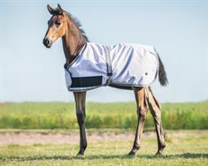 Fohlendecke Turnout Collection 100gr QHP Helllila