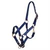 Fohlenhalfter BR Blau