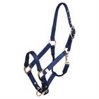 Fohlenhalfter BR Blau