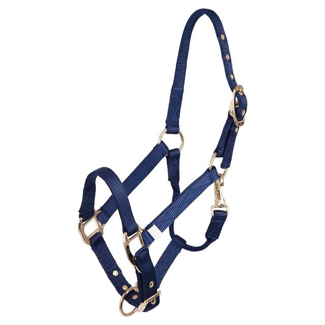Fohlenhalfter BR Blau