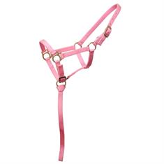 Fohlenhalfter Ekkia Norton Rosa