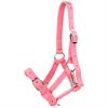 Fohlenhalfter HORSEGEAR Rosa