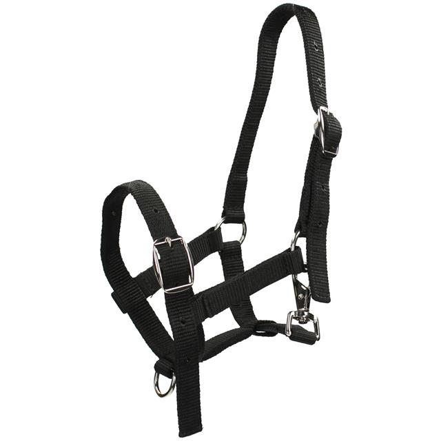 Fohlenhalfter HORSEGEAR Schwarz