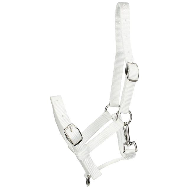 Fohlenhalfter HORSEGEAR Weiß