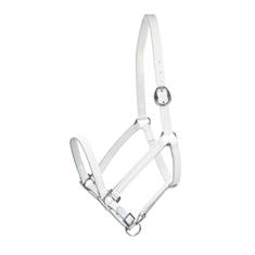 Fohlenhalfter Leder Standard Epplejeck Weiß