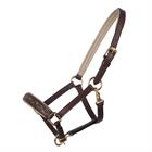 Fohlenhalfter Lupine Leder QHP Mittelbraun-Beige