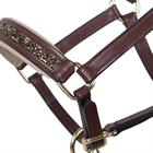 Fohlenhalfter Lupine Leder QHP Mittelbraun-Beige