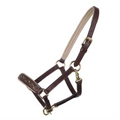 Fohlenhalfter Lupine Leder QHP Mittelbraun-Beige