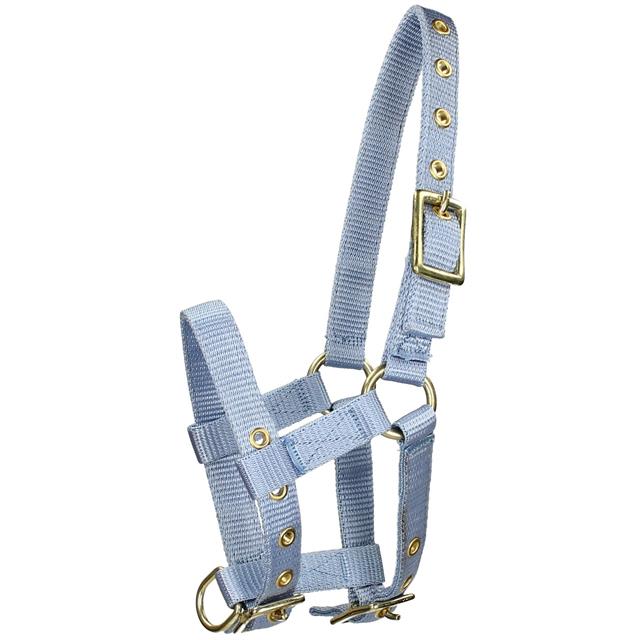 Fohlenhalfter Mini Barato Hellblau