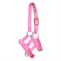 Fohlenhalfter Mini Barato Rosa