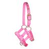 Fohlenhalfter Mini Barato Rosa