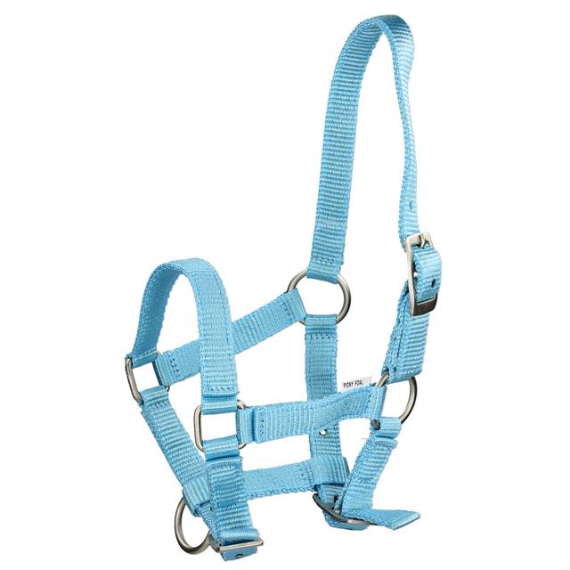 Fohlenhalfter Mini Q-Essentials Blau