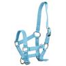 Fohlenhalfter Mini Q-Essentials Blau