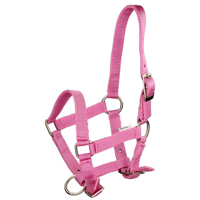 Fohlenhalfter Mini Q-Essentials Rosa
