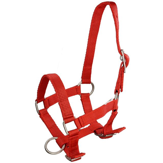 Fohlenhalfter Mini Q-Essentials Rot