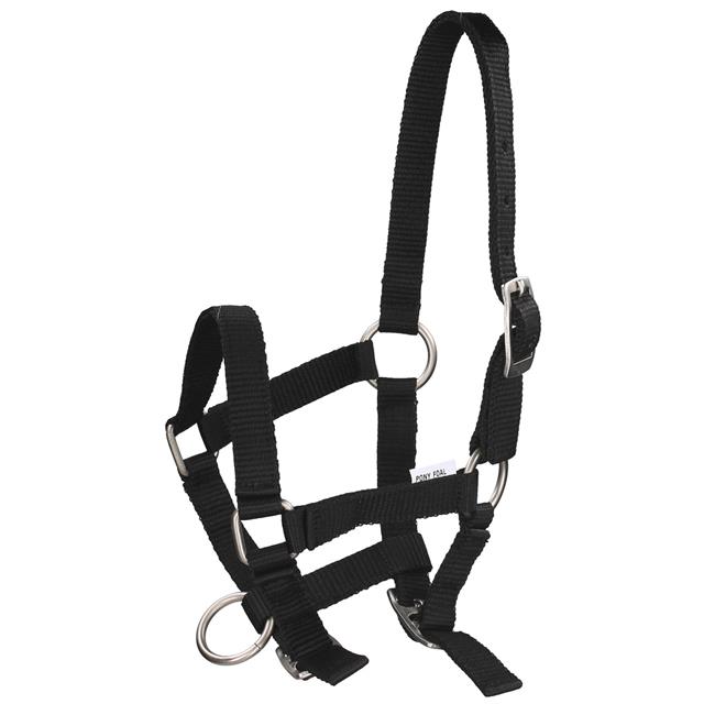 Fohlenhalfter Mini Q-Essentials Schwarz
