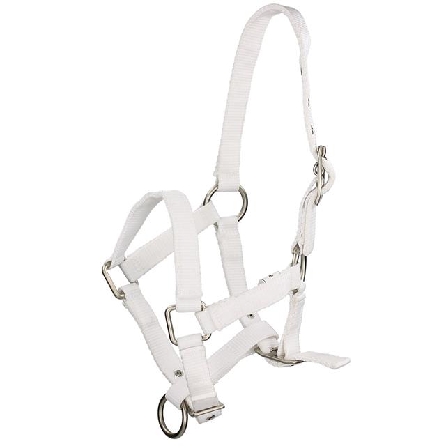 Fohlenhalfter Mini Q-Essentials Weiß