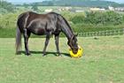 Futterball das Original Hay Play Blau