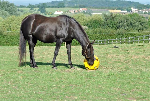 Futterball das Original Hay Play Blau