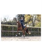 Gamaschen Active Gel Impact ATB22001 Anky Dunkelblau