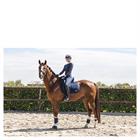 Gamaschen Active Gel Impact ATB22001 Anky Dunkelblau