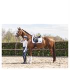 Gamaschen Active Gel Impact ATB22001 Anky Weiß