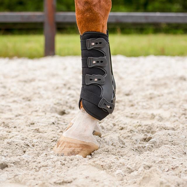 Gamaschen Champion Vorne QHP Schwarz