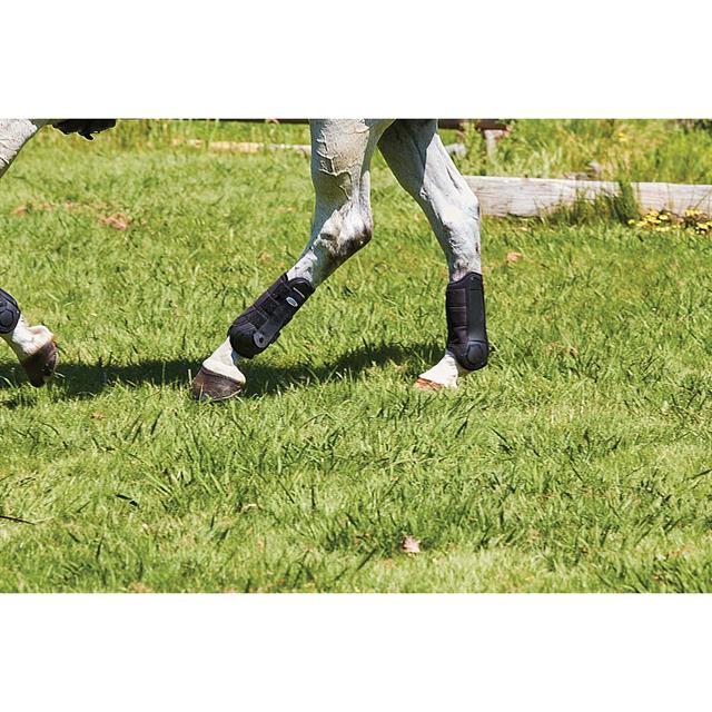 Gamaschen Flexi Hinterbeine WeatherBeeta Schwarz
