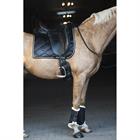 Gamaschen HGLevy HORSEGEAR Schwarz