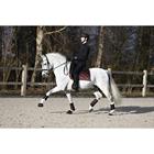 Gamaschen HGLuksus HORSEGEAR Braun
