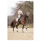 Gamaschen Proficient 3C ANKY Beige