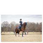 Gamaschen Proficient 3C ANKY Dunkelblau