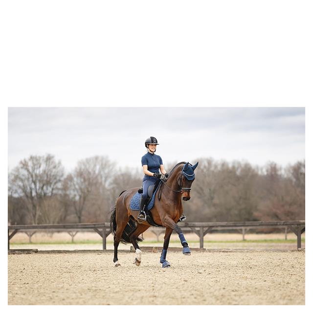 Gamaschen Proficient 3C ANKY Dunkelblau